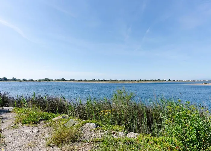 Maison Chaleureuse A Gruissan, Proche Plage, 6 Pers, Parking Prive, Animaux Acceptes - Fr-1-409a-13